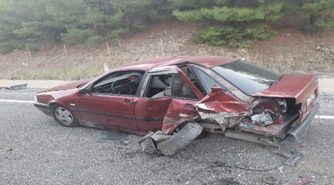 Yola çıkan köpek kazaya neden oldu