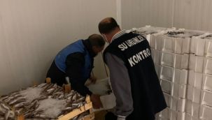 17 ton küçük boy istavrit ele geçirildi