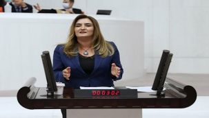 CHP'Lİ KILIÇ SORUNLARI MECLİSE TAŞIDI