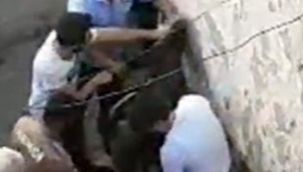 Hırsız damda uyuyakalınca yakayı ele verdi