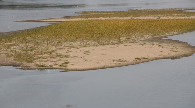 Meriç Nehri'nde kuraklık alarmı