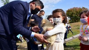 ACAR'DAN MİNİK ÖĞRENCİLERE PATİ PARK SÜRPRİZİ