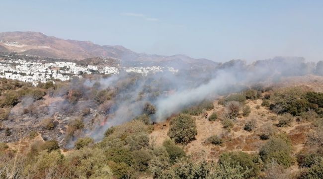 Bodrum'da makilik yangını