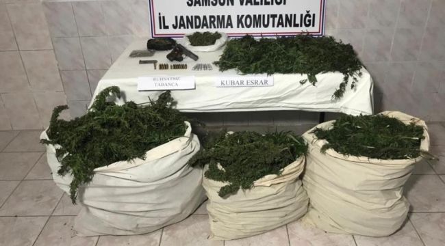 Jandarmadan zehir tacirlerine operasyon