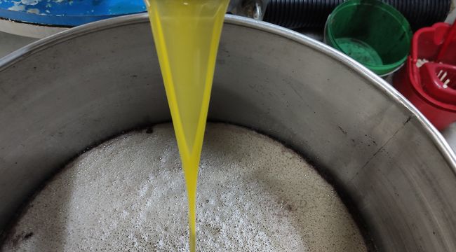 Ağaçlar yandı, zeytin yağı 50 lirayı buldu