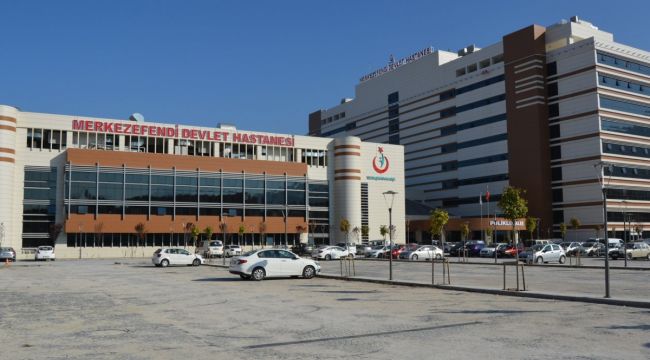 Dağ mantarı zehirledi