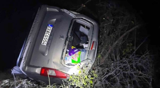 Elazığ'da hafif ticari araç şarampole uçtu