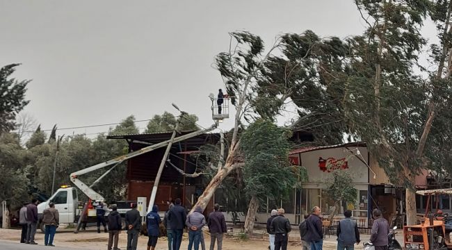 Fırtına İzmir'de ağaçları kökünden söktü, çatıları uçurdu