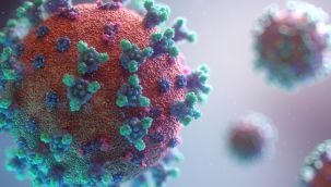 Japonya Sağlık Bakanlığından korona virüs ilacı kararı
