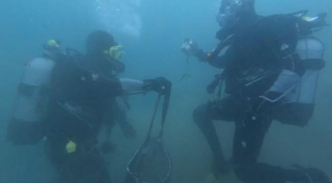 Kaçak avlanılan 2 ton midye çuvallar içinde denize saklandı