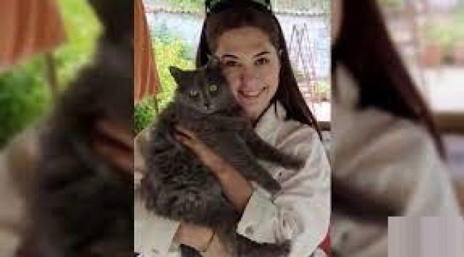 Kedisini kurtarmaya çalışırken düşüp öldü