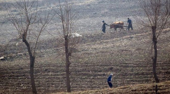 Kuzey Kore’de 'birçok insan kış aylarında açlıktan ölebilir'