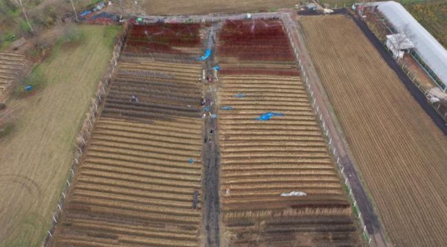 Tekirdağ'da şiddetli fırtına