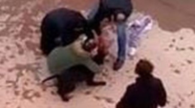 Asiye'nin saldırıya uğradığı sitenin yöneticisi kamera kayıtlarını silmiş