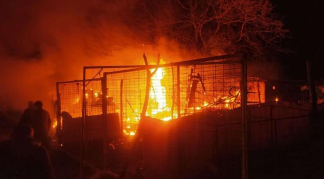Çiftlik alev alev yandı, 160 küçükbaş hayvan son anda kurtarıldı