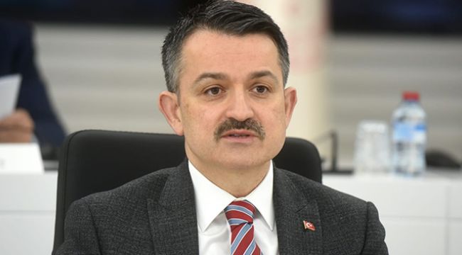 Destek ödemeleri hesaplara yatırılmaya başladı