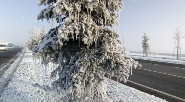 Erzurum eksi 17 dereceyi gördü, şadırvanlar, ağaçlar ve duraklar buz tuttu