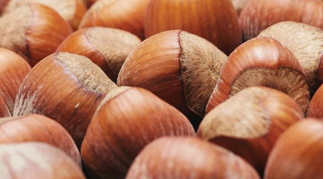 Fındık fiyatının yılbaşına kadar yükselir umudu var