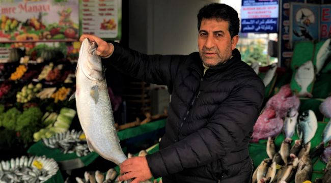 Tezgahlarda kofana bolluğu yaşanıyor