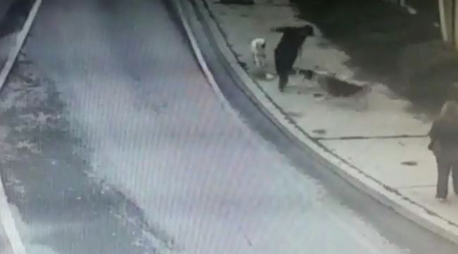 Bakırköy'de dehşet dolu anlar