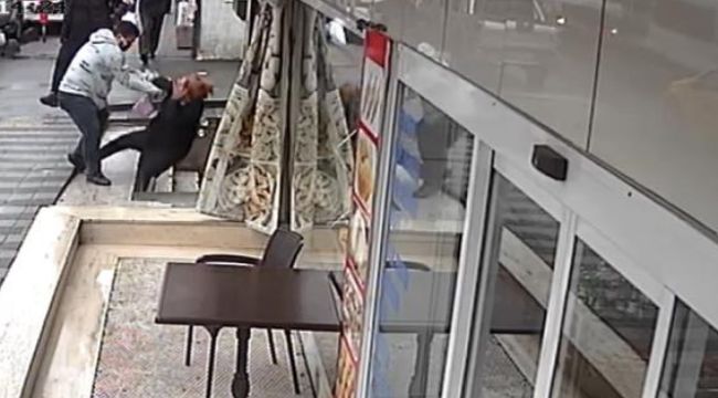 İstanbul'da kıskanç koca dehşeti