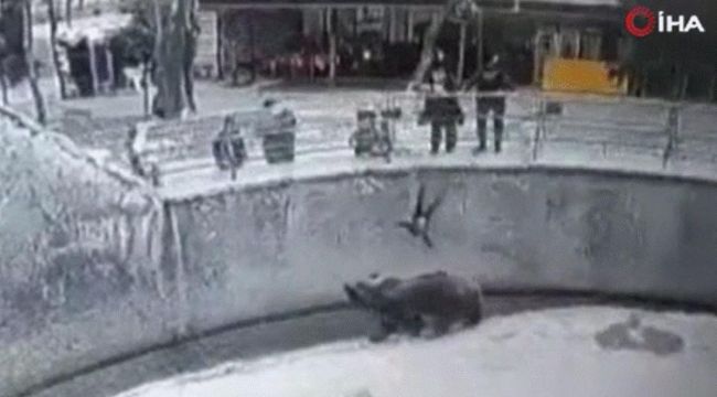 Özbekistan'da anne 3 yaşındaki kızını ayının yanına attı