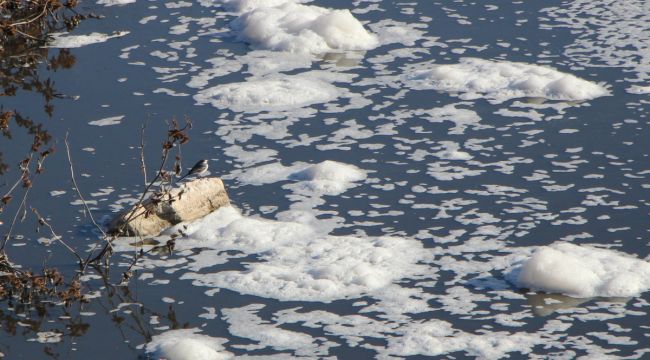 'Tersakan Çayı' kirlilikten köpürdü