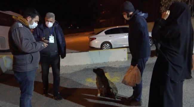 Virüslü karı-koca otobüste yakalandı: Yanlış yaptığımı biliyorum