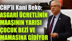 Beko: Asgari ücretlinin maaşının yarısı çocuk bezi ve mamasına gidiyor