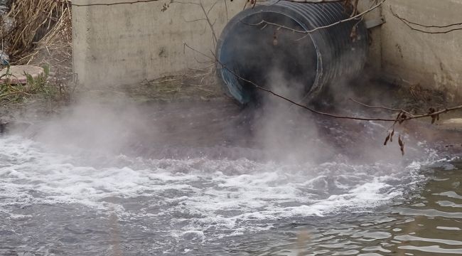 Bursa'da dereler zehir akıyor, bu yıl da müsilaj tehdidi kapıda