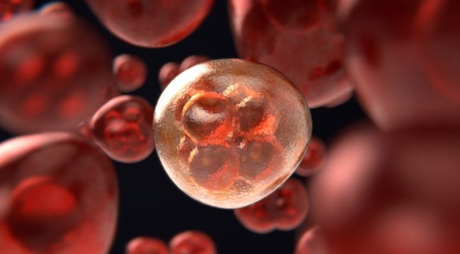 'Kanserlerin yüzde 35'i beslenme kaynaklı'