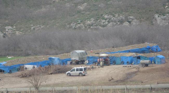 Koyunu kurtarmak isteyen çobanın feci ölümü