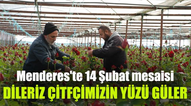 Menderes'te 14 Şubat mesaisi: Dileriz çiftçimizin yüzü güler