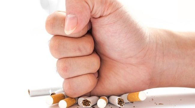 Sigara bırakmak isteyenlere nikotin alternatifi; Patlıcan