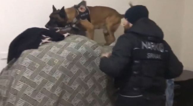 Şırnak'ta hassas burunlu köpeklerle narkotik operasyonu
