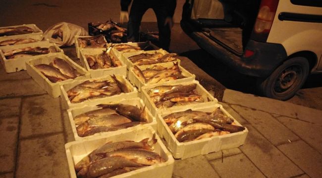 Terkos Gölü'nde kaçak olarak avladılar yol denetiminde yakalandılar