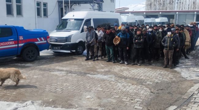 Van'da 78 düzensiz göçmen yakalandı