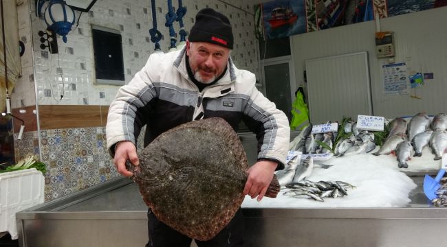 5 kiloluk kalkan balığı 3 bin liraya satıldı