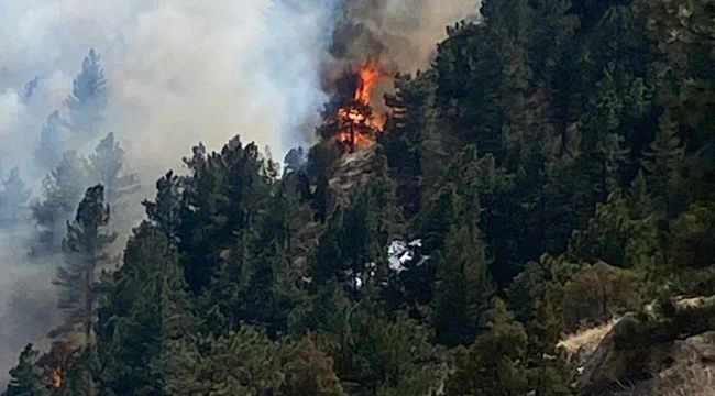 ABD'nin Colorado eyaletinde orman yangını nedeniyle 19 bin kişi tahliye edildi