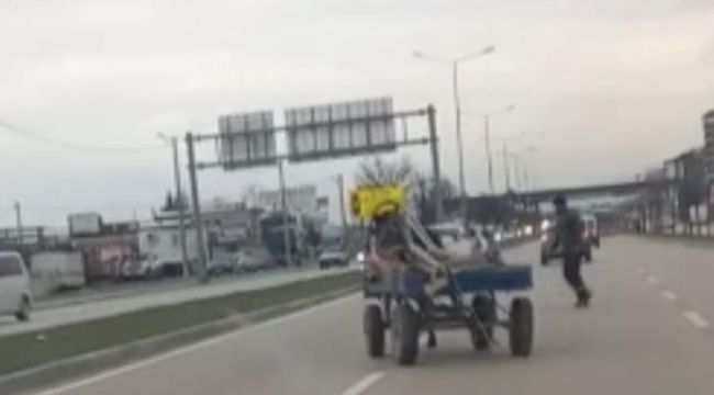 Bursa'da sürücüsüz at arabası trafiği birbirine kattı