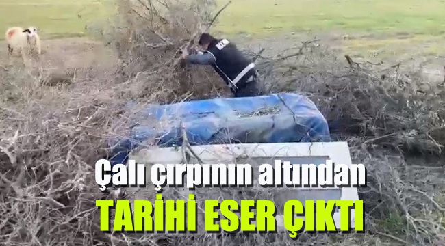 Çalı çırpının altından tarihi eser çıktı