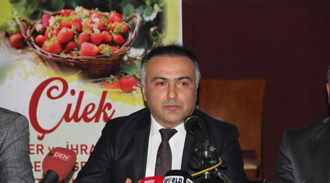 Çilekte pestisitle mücadeledeki başarı ihracatta rekor getirdi
