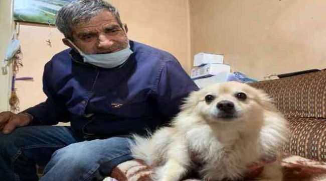 Eskişehir'de şallı köpek hırsızlığı