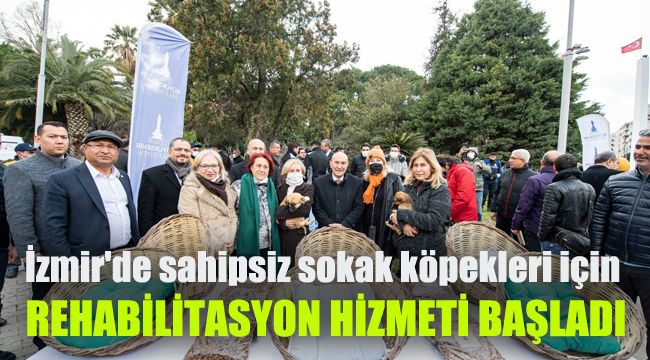 İzmir'de sahipsiz sokak köpekleri için rehabilitasyon hizmeti başladı