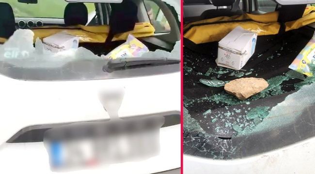 Kaçak elektrik baskınına gittiler, bacaklarında ısırıklarla geri döndüler