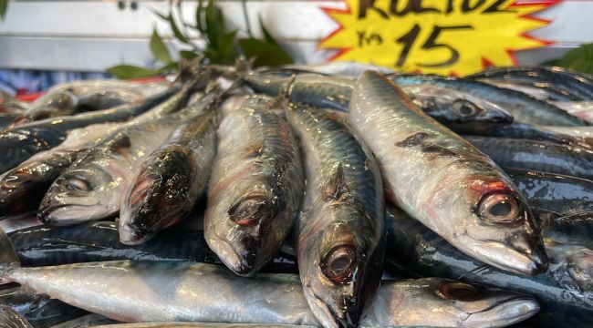 Kilosu 15 lira, kapış kapış satılıyor