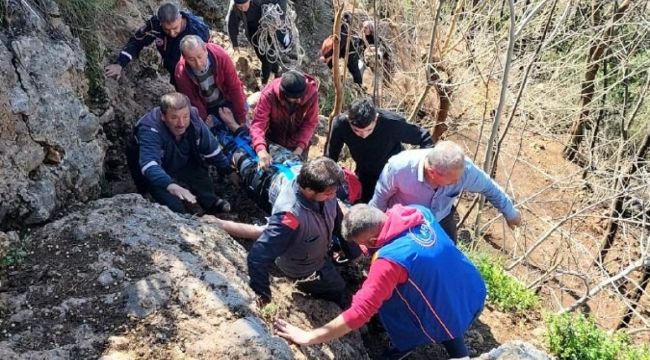 Koyun otlatırken kayalıklardan düştü