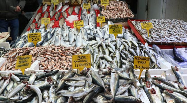 Samsun'da balık fiyatları arttı