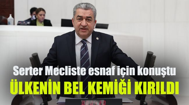 Serter Mecliste esnaf için konuştu: Ülkenin bel kemiği kırıldı