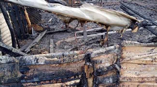 Yörük çadırında yangın çıktı, koyunları vatandaşlar kurtardı